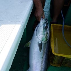 第三むつりょう丸 釣果