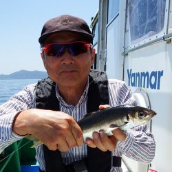 第三むつりょう丸 釣果