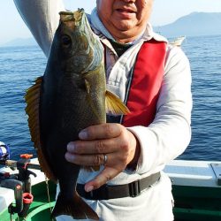第三むつりょう丸 釣果