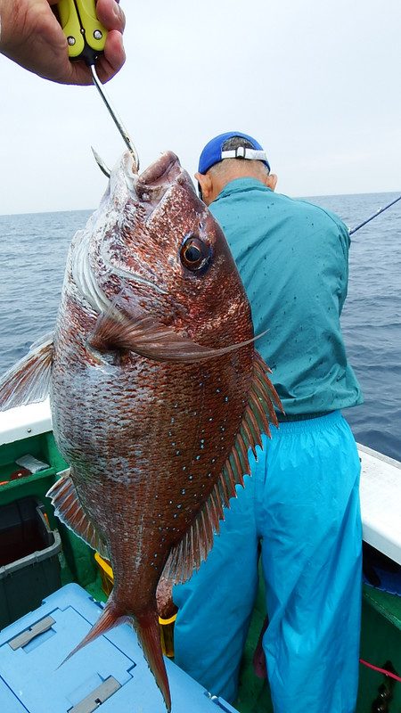 第三むつりょう丸 釣果