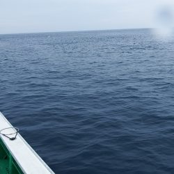 第三むつりょう丸 釣果