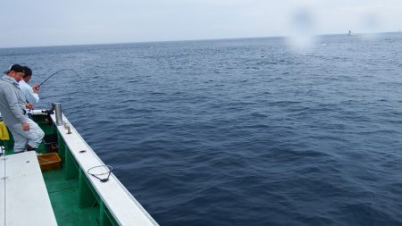 第三むつりょう丸 釣果