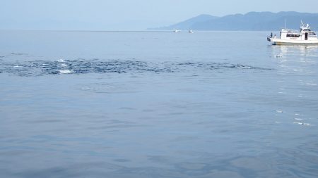 第三むつりょう丸 釣果