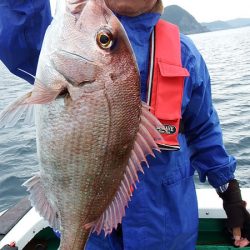 第三むつりょう丸 釣果