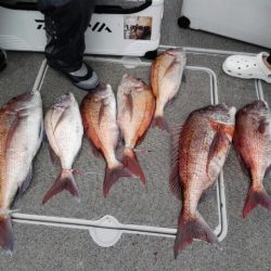 第二大福丸 釣果