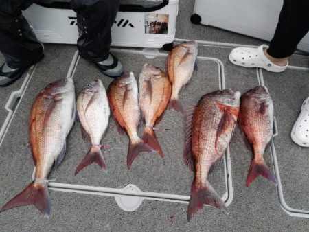 第二大福丸 釣果