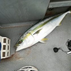 IDATEN（イダテン） 釣果