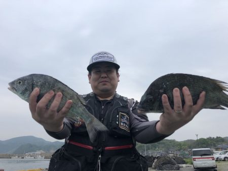 由良渡船 釣果