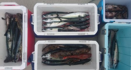 気仙沼　つり丸 釣果