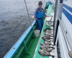 久里浜黒川本家 釣果