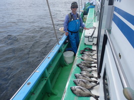 久里浜黒川本家 釣果