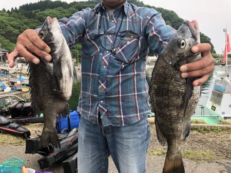 由良渡船 釣果