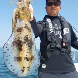 Magic（マジック） 釣果