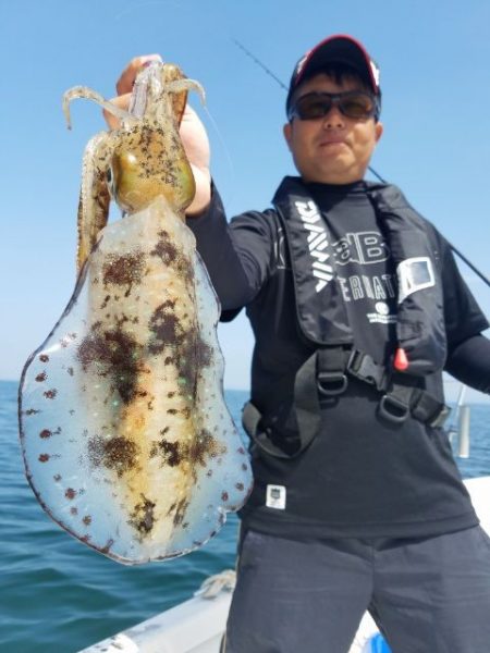 Magic（マジック） 釣果