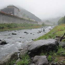 狩野川（狩野川漁業協同組合） 釣果