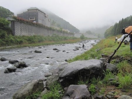 狩野川（狩野川漁業協同組合） 釣果