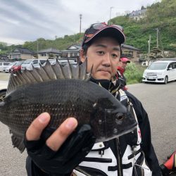 由良渡船 釣果