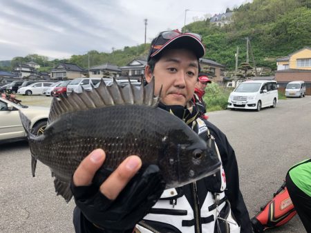 由良渡船 釣果
