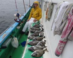 久里浜黒川本家 釣果