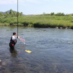 狩野川(狩野川漁業協同組合) 釣果