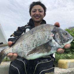 由良渡船 釣果