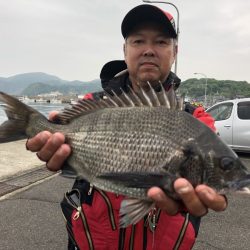 由良渡船 釣果