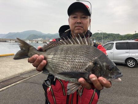 由良渡船 釣果