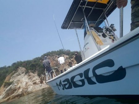 Magic(マジック) 釣果