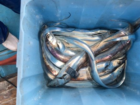 遊漁船 ニライカナイ 釣果