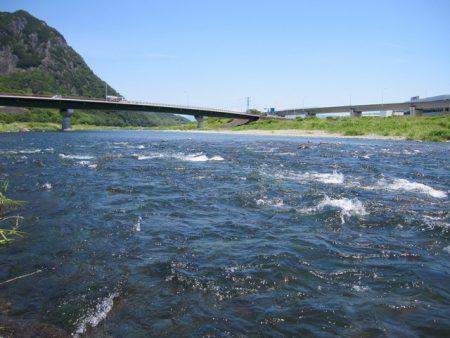 狩野川(狩野川漁業協同組合) 釣果