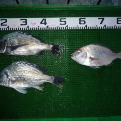 海山フィッシングセンター 釣果