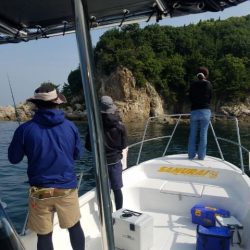 Magic(マジック) 釣果