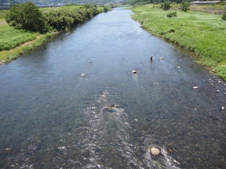 狩野川(狩野川漁業協同組合) 釣果