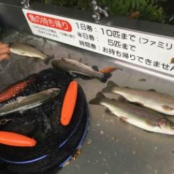 フィッシング サンクチュアリ 釣果