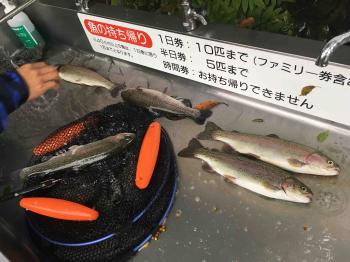 フィッシング サンクチュアリ 釣果