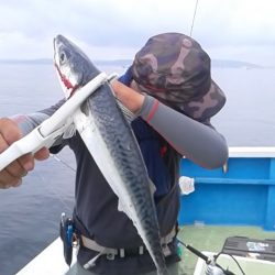 さわ浦丸 釣果