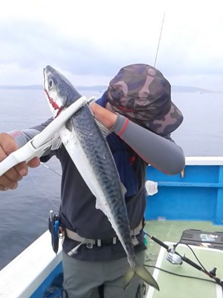 さわ浦丸 釣果