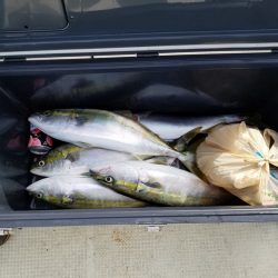 遊漁船 ニライカナイ 釣果