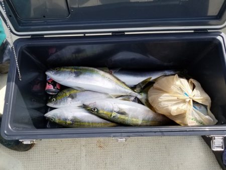 遊漁船 ニライカナイ 釣果