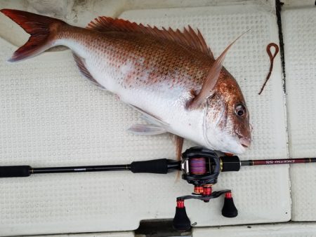 遊漁船 ニライカナイ 釣果