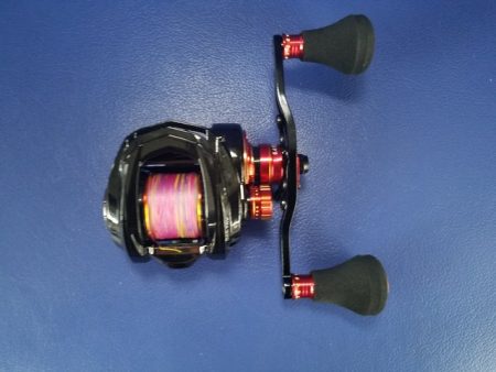 遊漁船 ニライカナイ 釣果