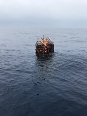 ことぶき丸 釣果