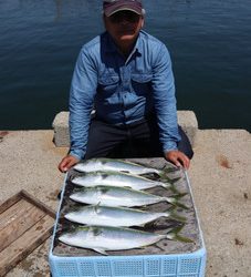 魚英 釣果