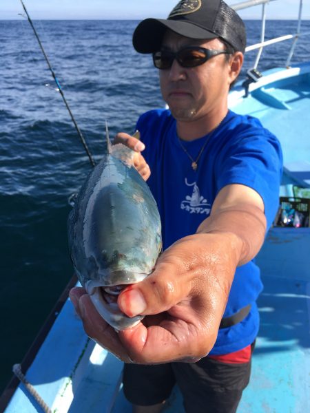 松鶴丸 釣果