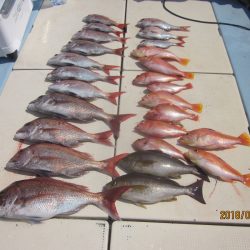 第十八吉栄丸 釣果