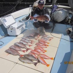 第十八吉栄丸 釣果