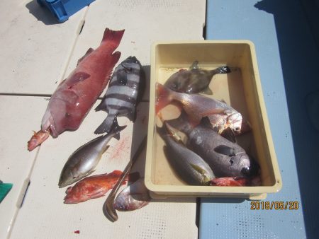 第十八吉栄丸 釣果