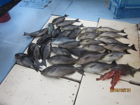 第十八吉栄丸 釣果