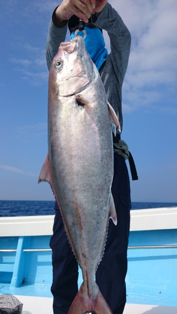 海晴丸 釣果