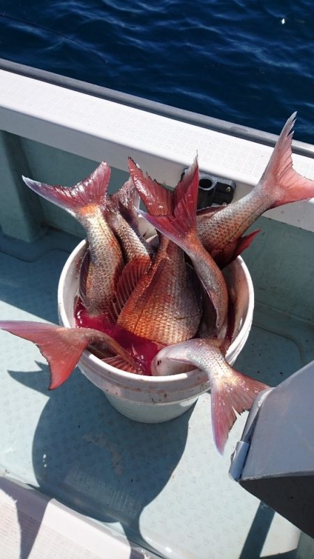 遊漁船ブルーウッズ 釣果